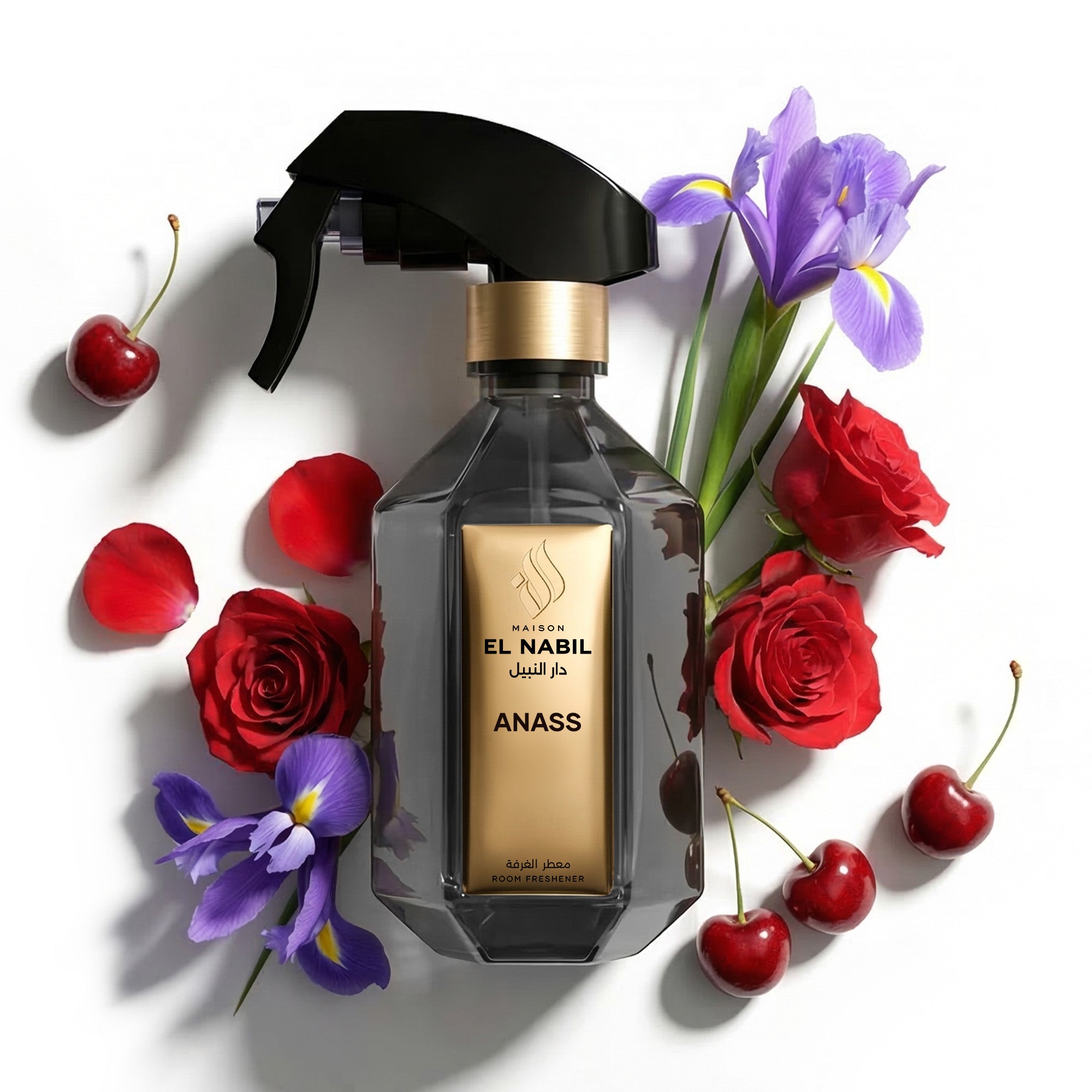أنس